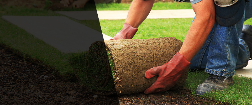 Richlands Landscapers